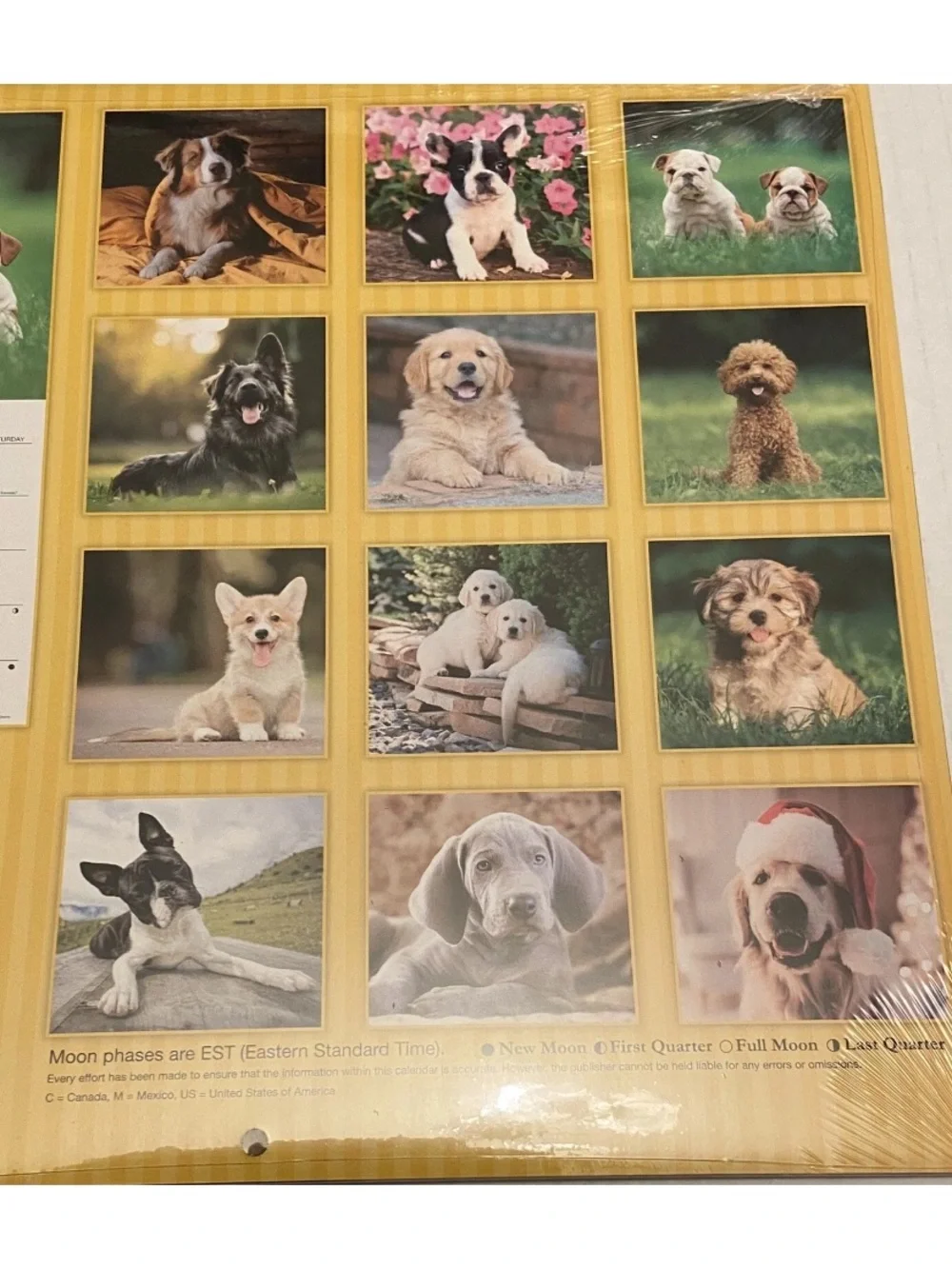 2025 Puppy Dogs Photos 16 Month Calendar 11 x 10 Inches Sealed New.